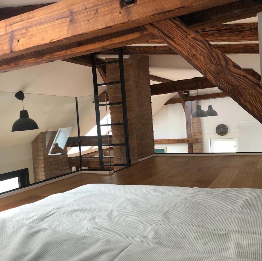 Loft V Historickom Centre Тренчин Экстерьер фото